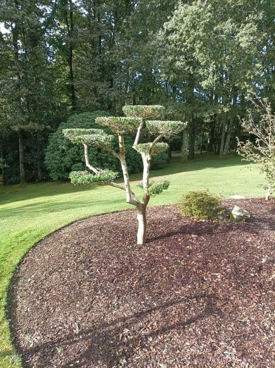 Plantation & Engazonnement